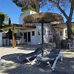 Cisquillo Mar